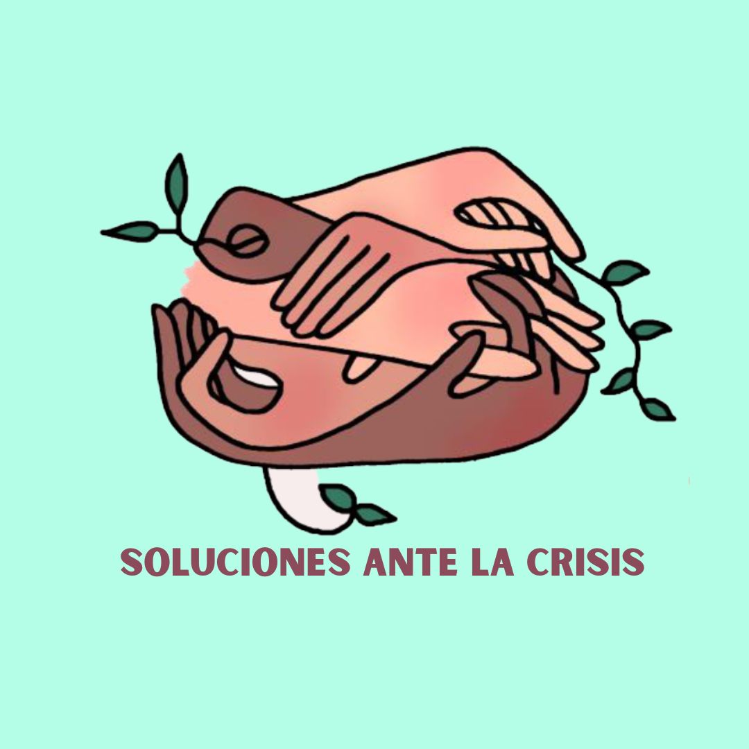 Soluciones ante la crisis