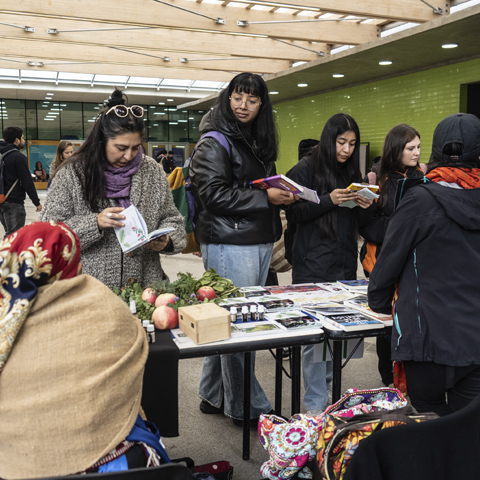 Feria Organizaciones